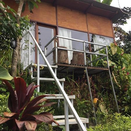 Jungleadventure Cabin Camping Bedugul  Eksteriør billede