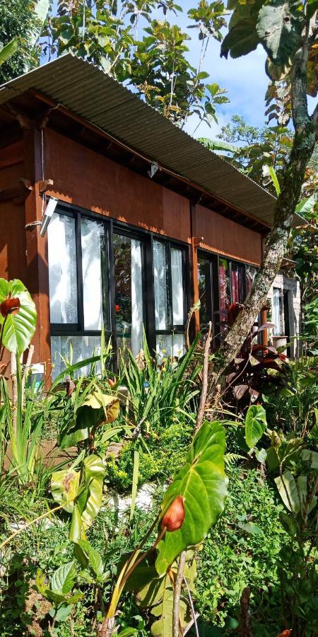 Jungleadventure Cabin Camping Bedugul  Eksteriør billede